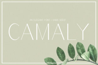 Camaly: A Modern Sans Serif Typeface for Editorial Design