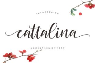 Cattalina: The Luxury Script Handwritten Font for Modern Web Design