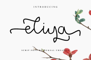 Eliya Handwritten Font for Modern Web Design