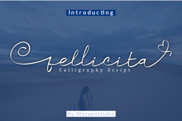 Fellicita: A Handwritten Script Font for Calm, Engaging Campaigns