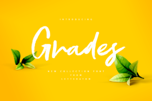 Grades: The Script Handwritten Font for Exciting Web Design