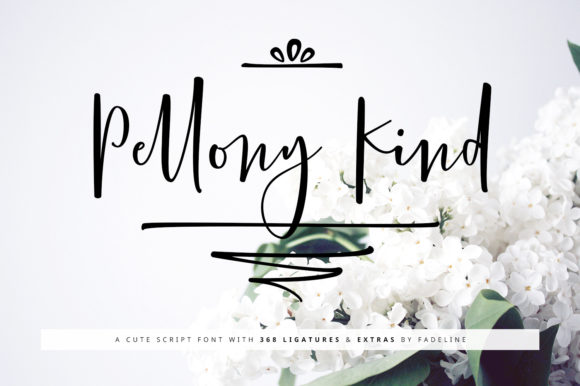 Pellony Kind: The Sweet Handwritten Typeface for Modern Craft Brands