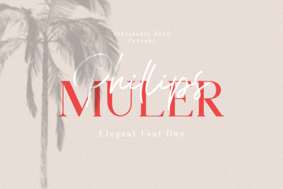 Phillips Muler: The Elegant Script Handwritten Font for Boutique Branding