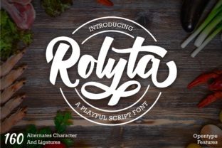 Rolyta Bold Script Font Review for Brand Identity